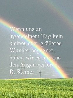 Wunder