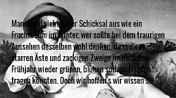 J. W. v. Goethe